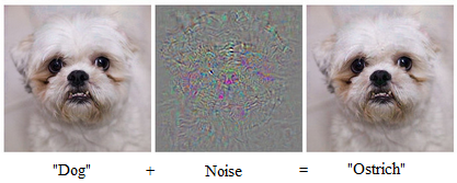 Image of adversarial example